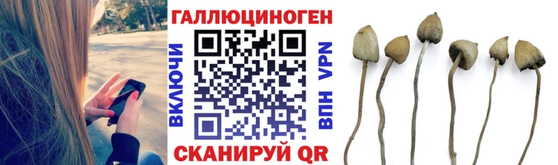Галлюциногенные грибы MAGIC MUSHROOMS  дарнет шоп  KRAKEN   Кингисепп 