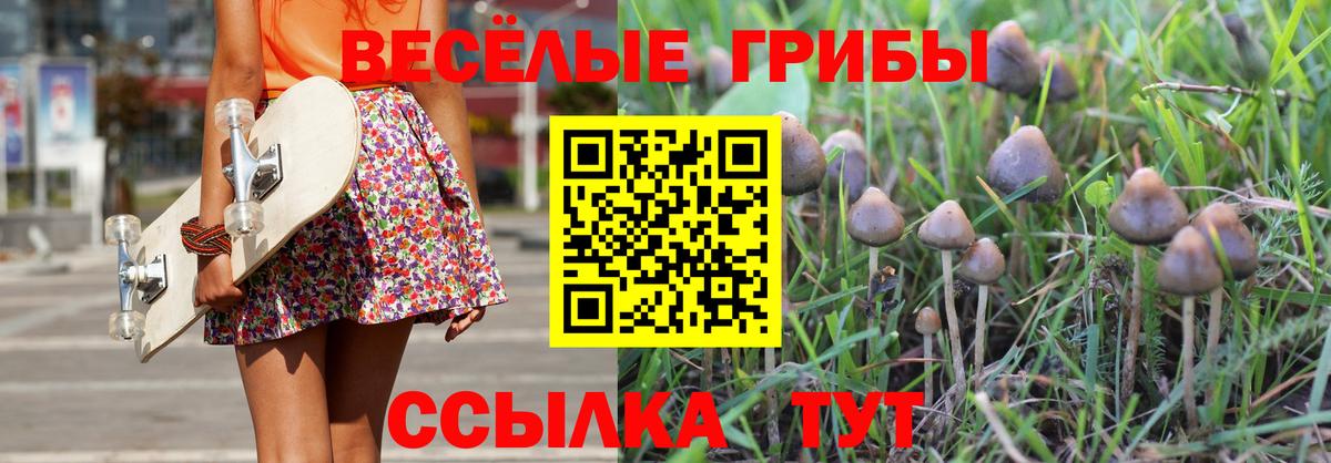 Кингисепп  Псилоцибиновые грибы ЛСД  Вход с VPN 