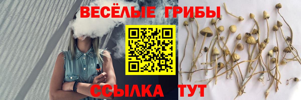 Псилоцибиновые грибы ЛСД Кингисепп
